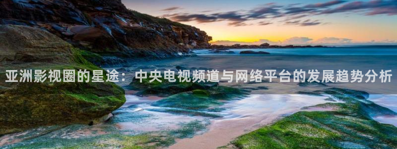 窝窝在线观看免费播放电视剧90：亚洲影视圈的星途：中央电视频道与网络平台的发展趋势分析
