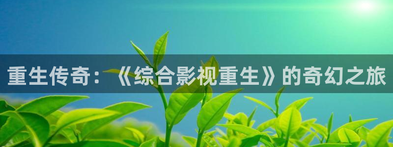窝窝影院看片