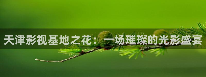 窝窝牛电影在线观看：天津影视基地之花：一场璀璨的光影盛宴
