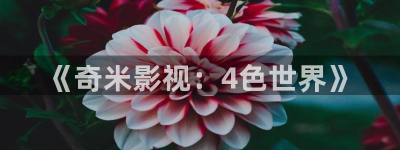 窝窝影视剧在线免费观看：《奇米影视：4色世界》