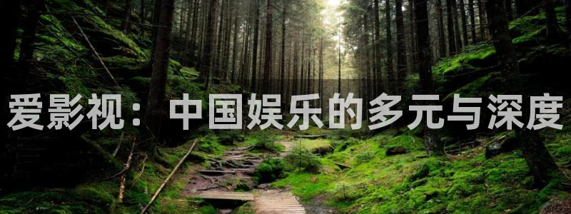 窝窝在线观看电视剧资源：爱影视：中国娱乐的多元与深度