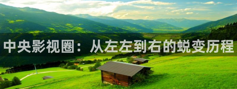 窝窝电影电视剧网：中央影视圈：从左左到右的蜕变历程