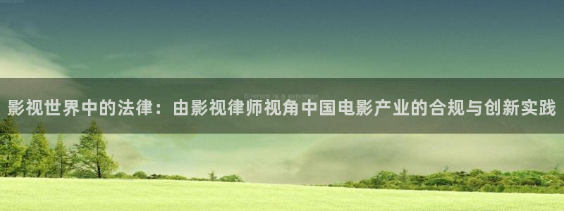 窝窝网免费看电视剧：影视世界中的法律：由影视律师视角中国电影产业的合规与创新实践