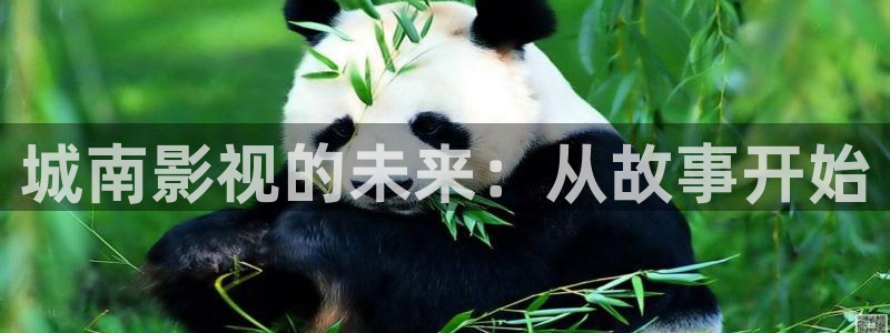 窝窝影视在线观看