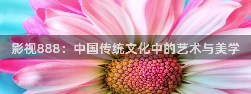 窝窝电影网在线观看